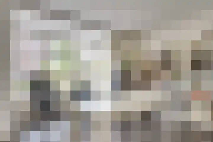 Visven 55 Veghel thumbnail 23