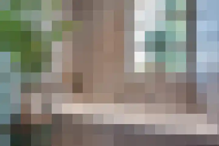 Visven 55 Veghel thumbnail 35