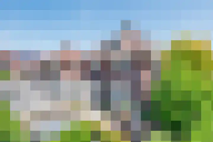 Visven 55 Veghel thumbnail 43