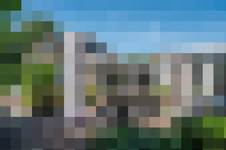 Visven 55 Veghel thumbnail 44