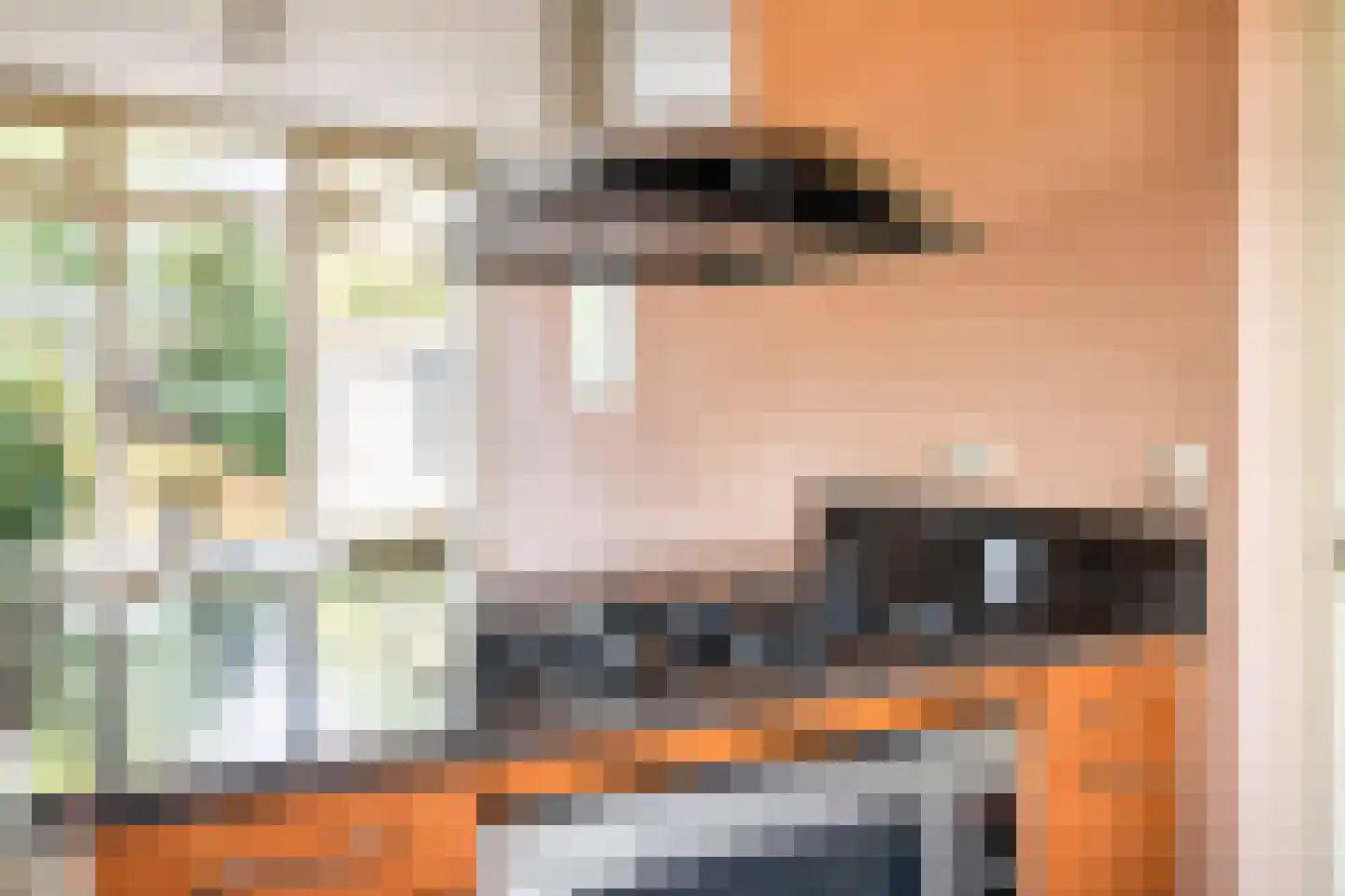 Visven 56 Veghel thumbnail 20