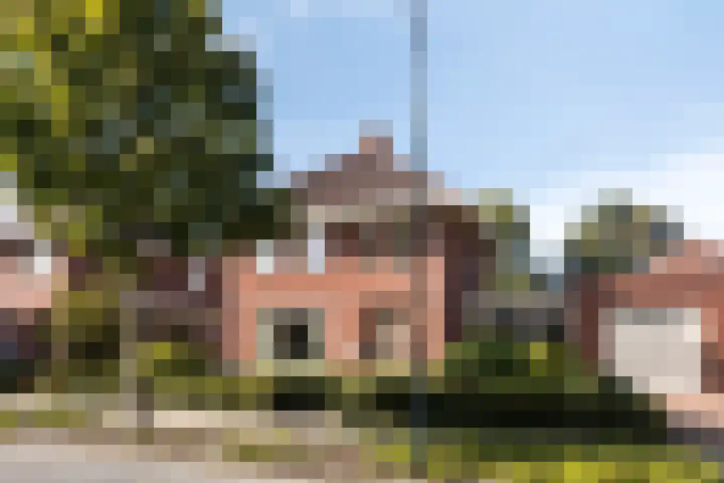 Visven 56 Veghel foto 3