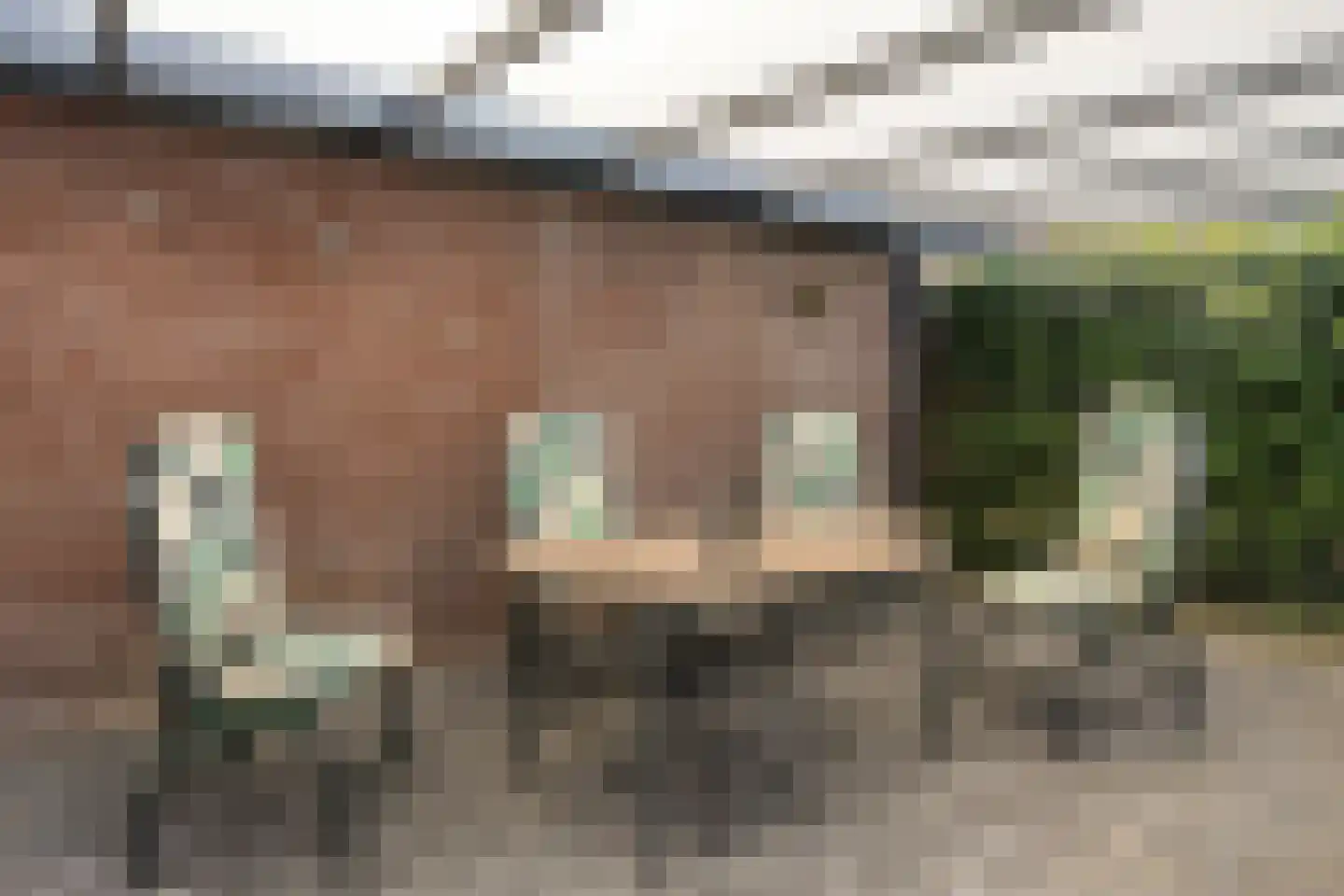 Visven 56 Veghel thumbnail 39