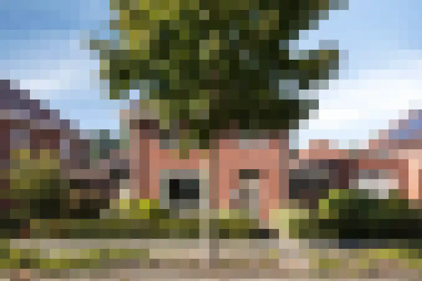 Visven 56 Veghel thumbnail 4