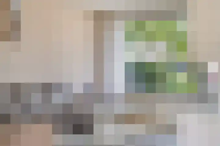 Viswant 2 Hoogvliet Rotterdam thumbnail 11