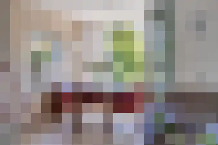 Viswant 2 Hoogvliet Rotterdam thumbnail 14