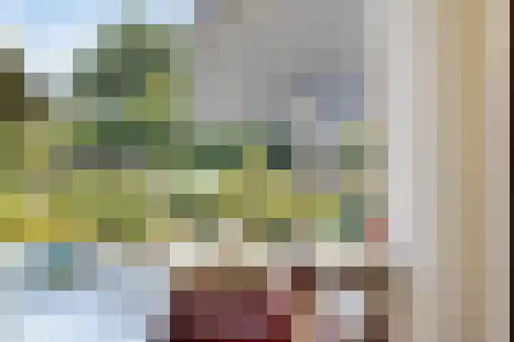 Viswant 2 Hoogvliet Rotterdam thumbnail 16