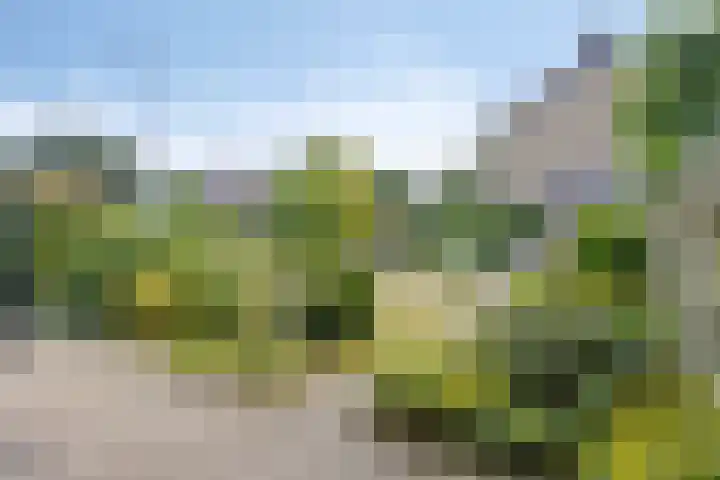Viswant 2 Hoogvliet Rotterdam thumbnail 20