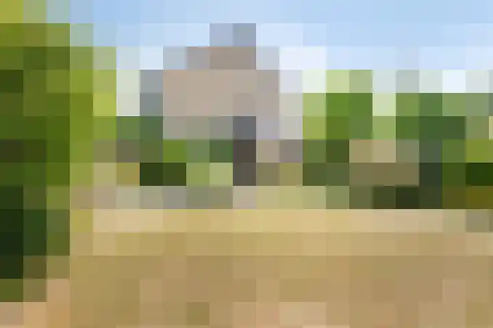 Viswant 2 Hoogvliet Rotterdam thumbnail 21