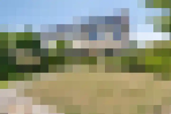Viswant 2 Hoogvliet Rotterdam thumbnail 22
