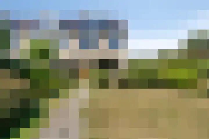 Viswant 2 Hoogvliet Rotterdam thumbnail 23