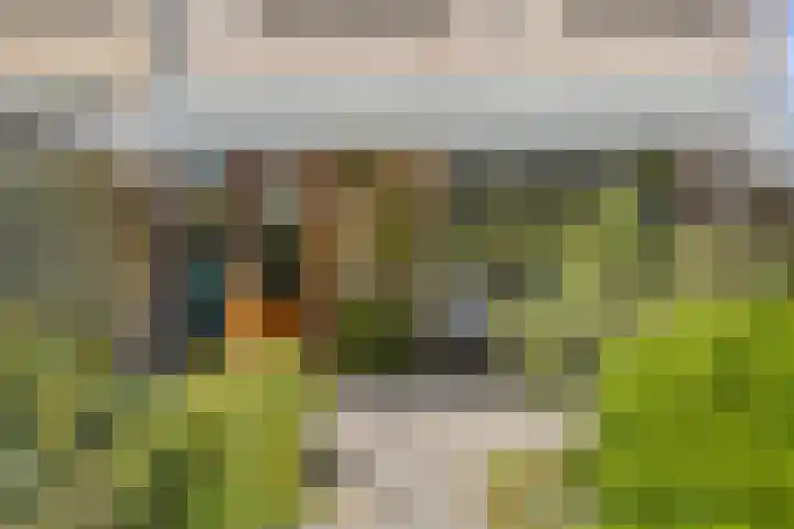 Viswant 2 Hoogvliet Rotterdam thumbnail 25