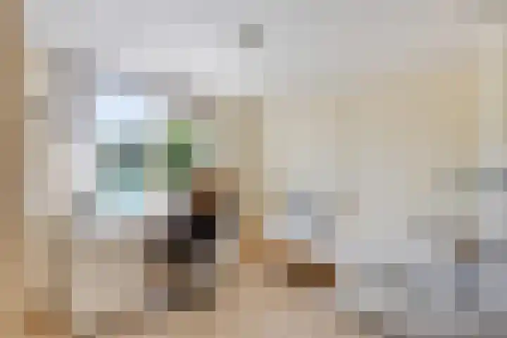 Viswant 2 Hoogvliet Rotterdam thumbnail 35
