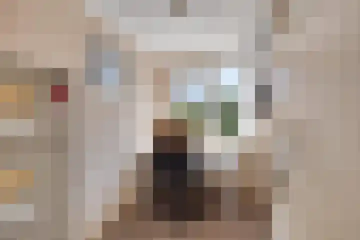 Viswant 2 Hoogvliet Rotterdam thumbnail 36