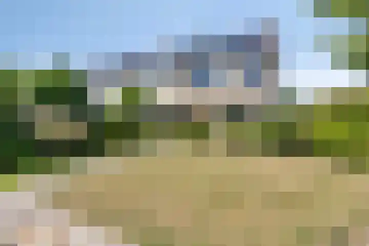 Viswant 2 Hoogvliet Rotterdam thumbnail 4