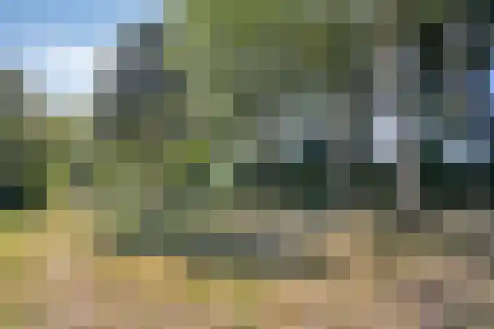 Viswant 2 Hoogvliet Rotterdam thumbnail 43