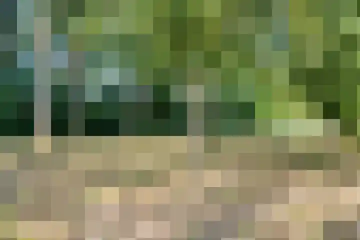 Viswant 2 Hoogvliet Rotterdam thumbnail 44