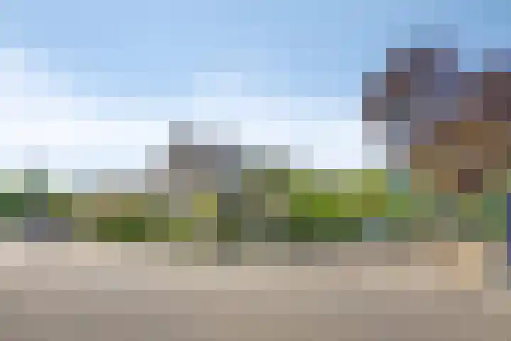 Viswant 2 Hoogvliet Rotterdam thumbnail 5
