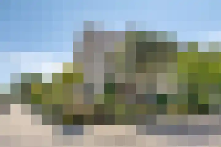 Viswant 2 Hoogvliet Rotterdam thumbnail 6