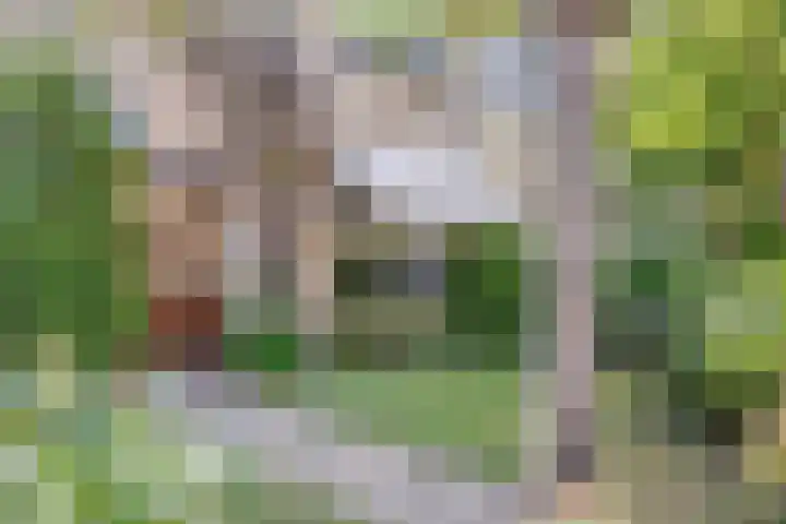 Viswant 2 Hoogvliet Rotterdam thumbnail 7