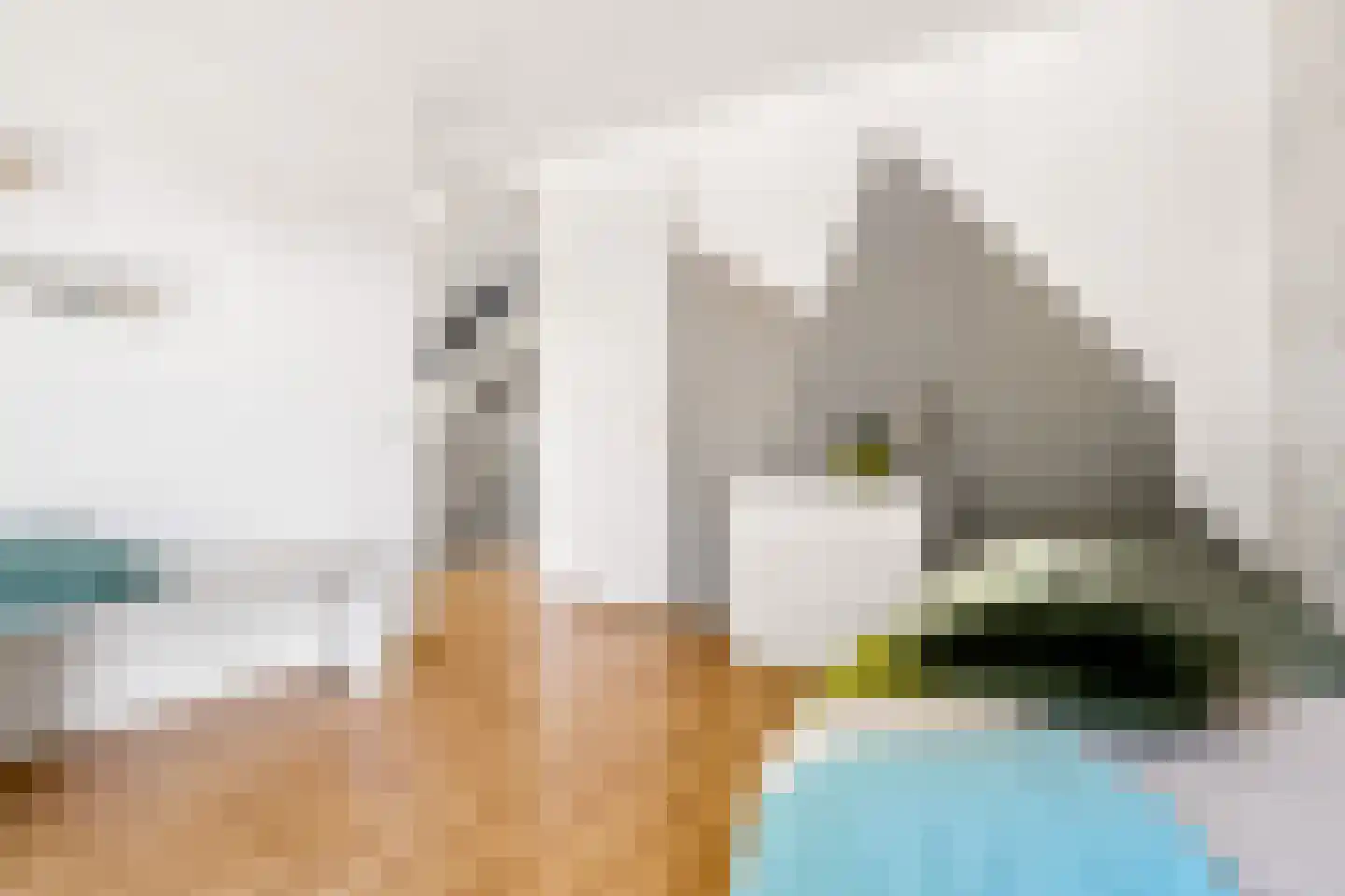 Viswater 15 Houten thumbnail 28