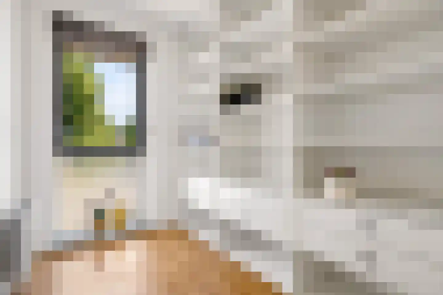 Viswater 15 Houten thumbnail 29