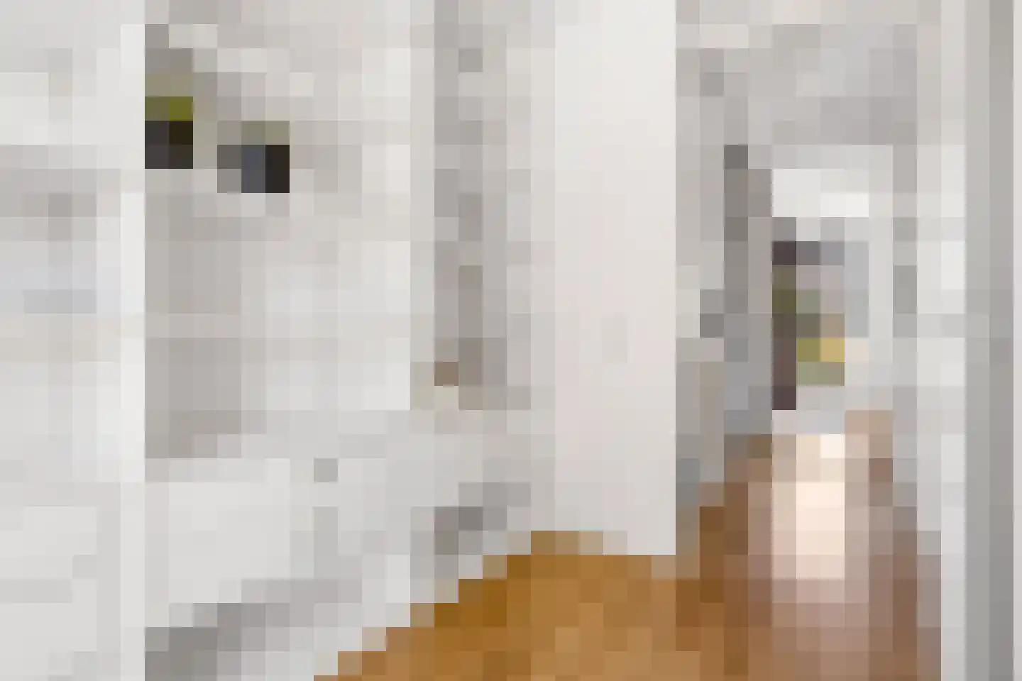 Viswater 15 Houten thumbnail 30