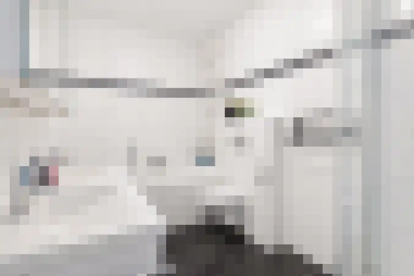 Viswater 15 Houten thumbnail 34
