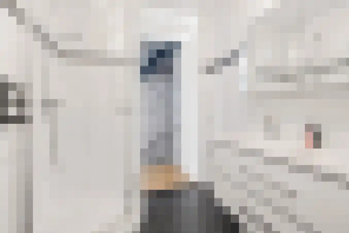 Viswater 15 Houten thumbnail 35