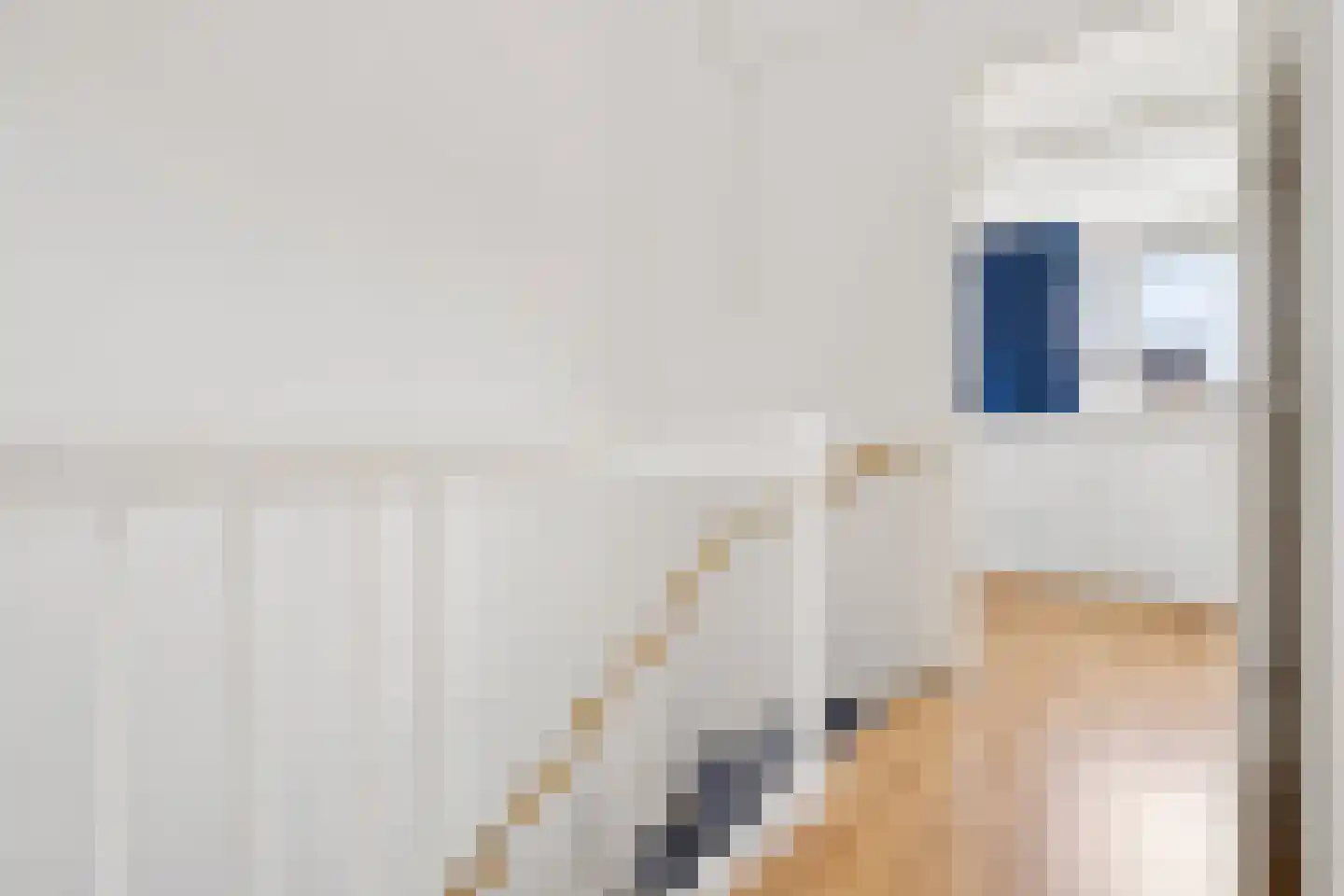Viswater 15 Houten thumbnail 36