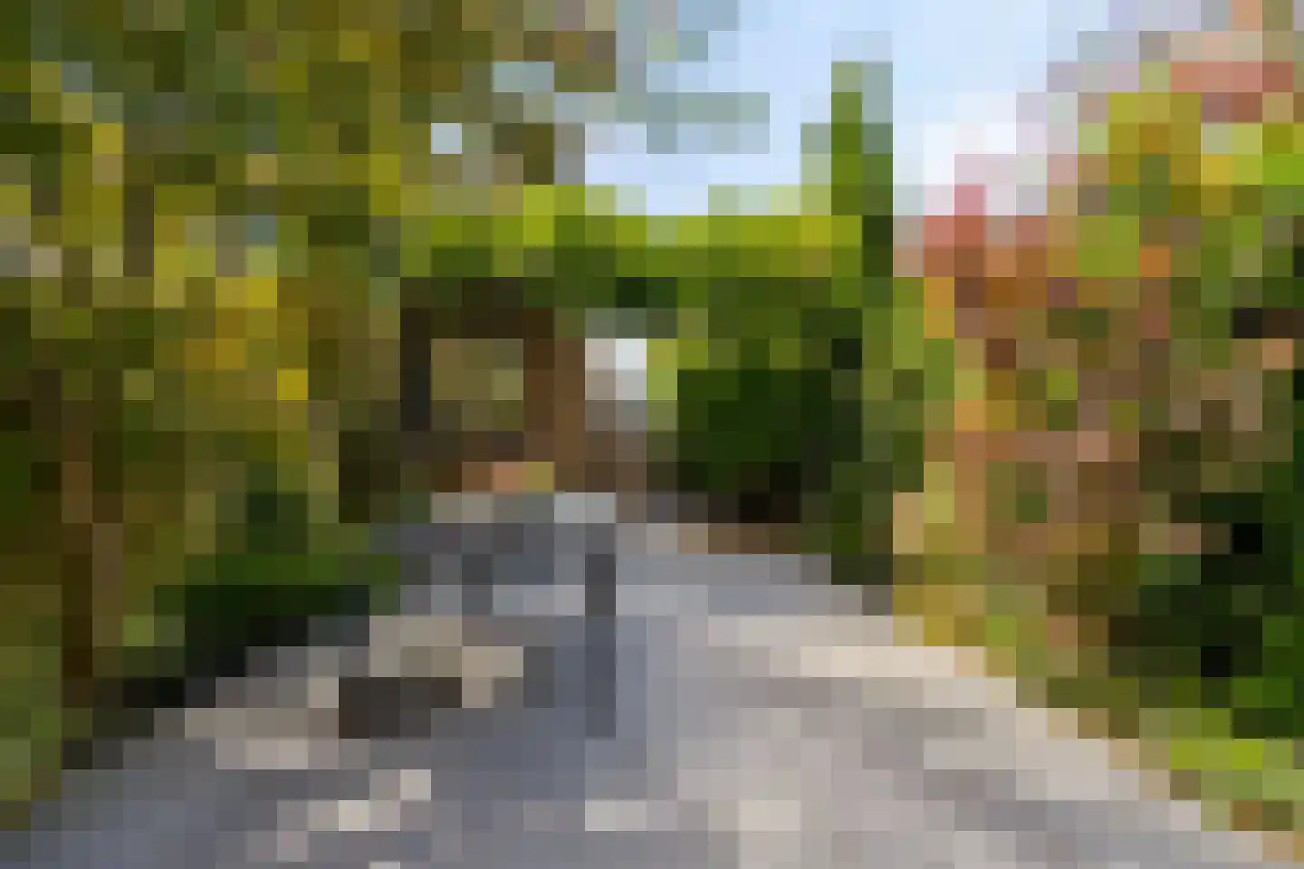 Viswater 15 Houten thumbnail 44