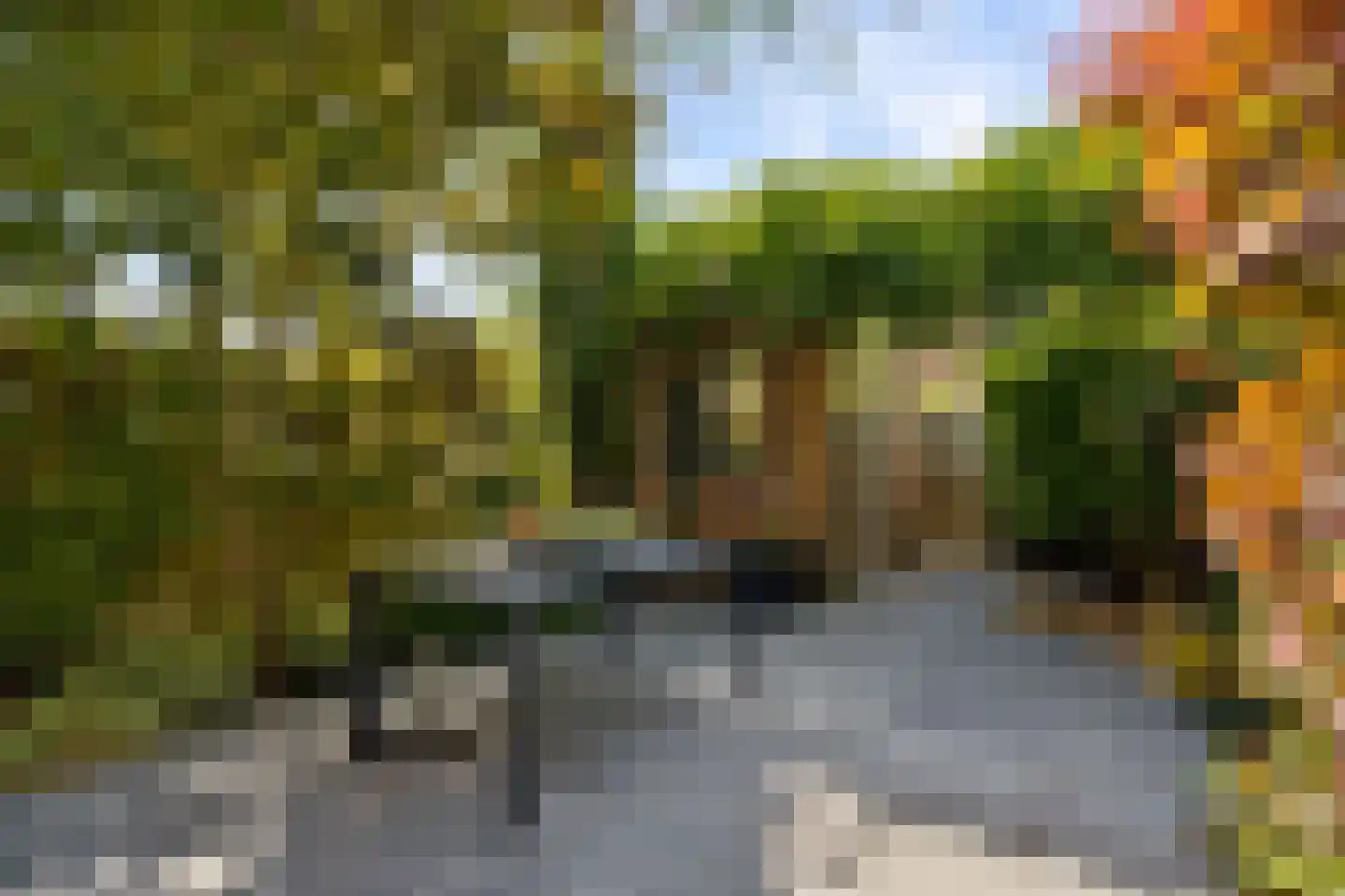 Viswater 15 Houten thumbnail 46