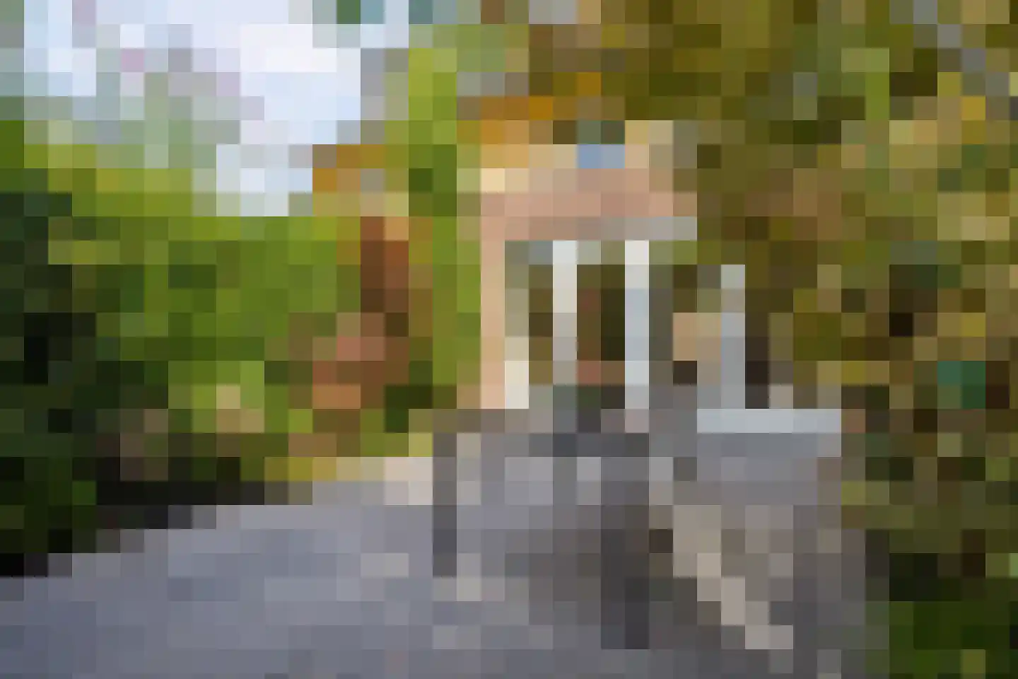 Viswater 15 Houten thumbnail 47