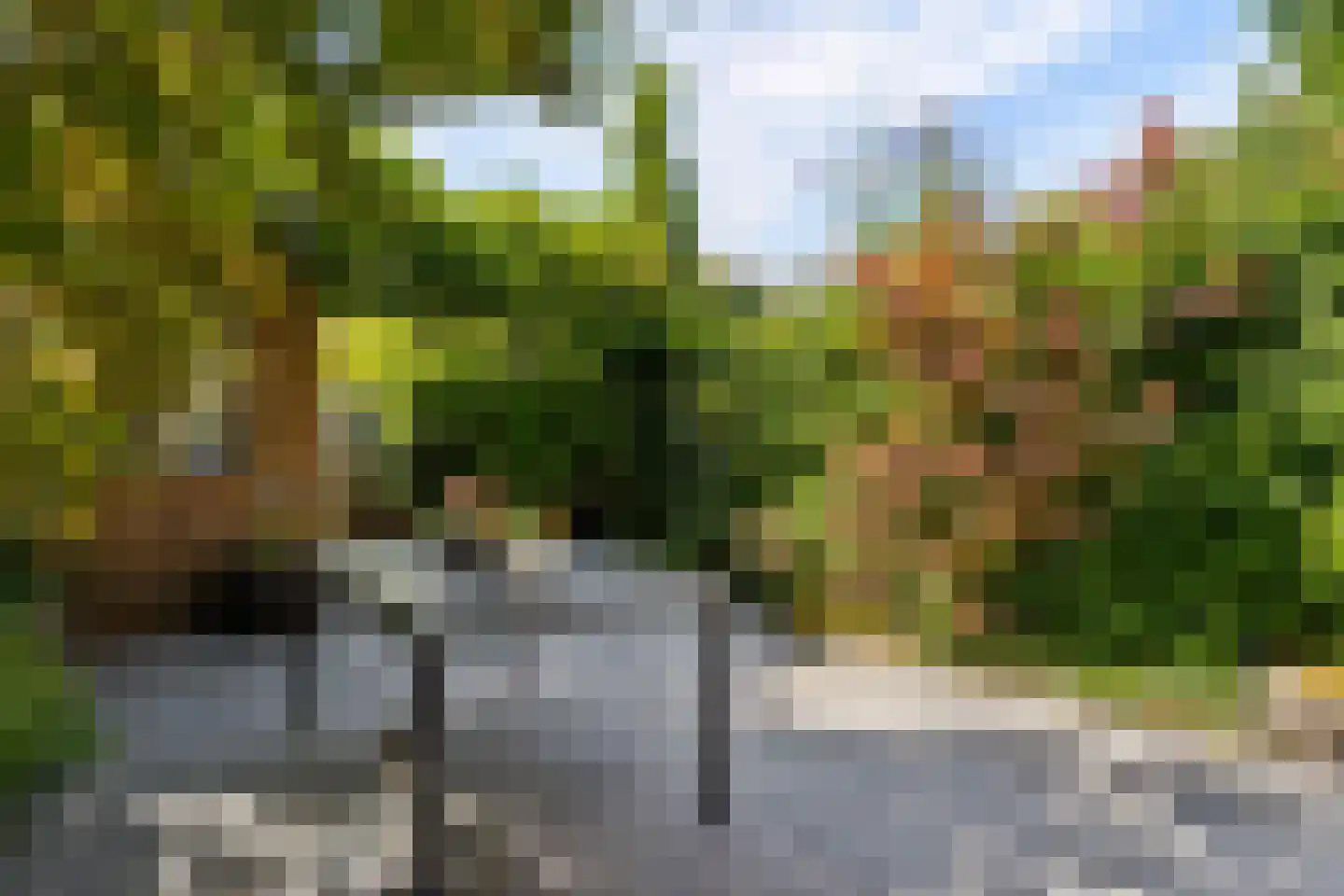 Viswater 15 Houten thumbnail 48
