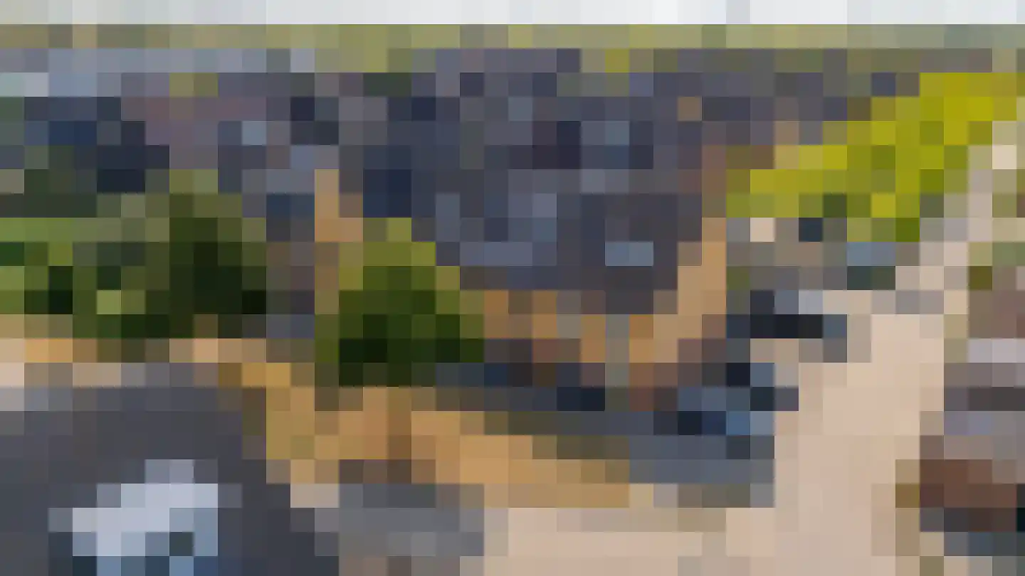 Viswater 15 Houten thumbnail 53