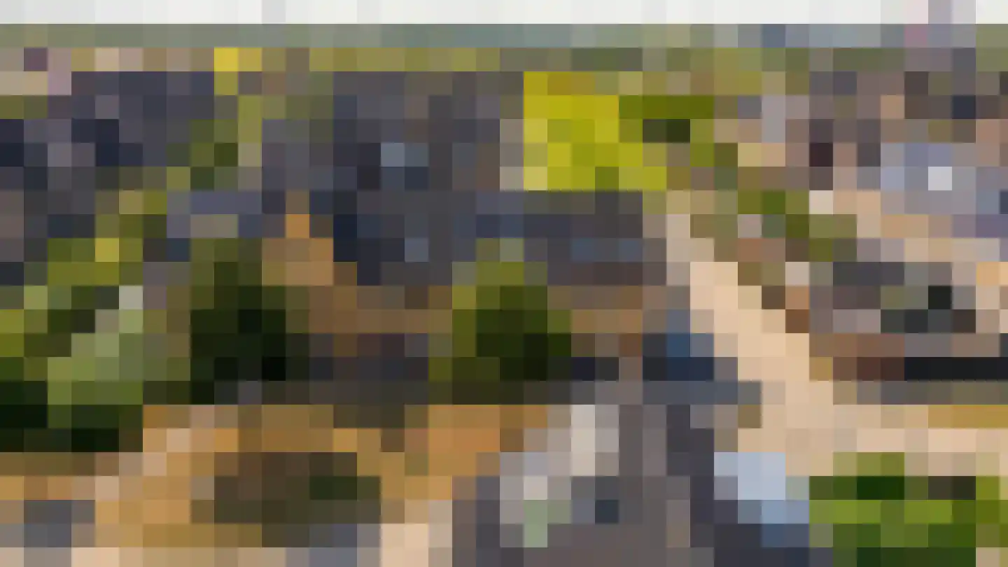 Viswater 15 Houten thumbnail 54