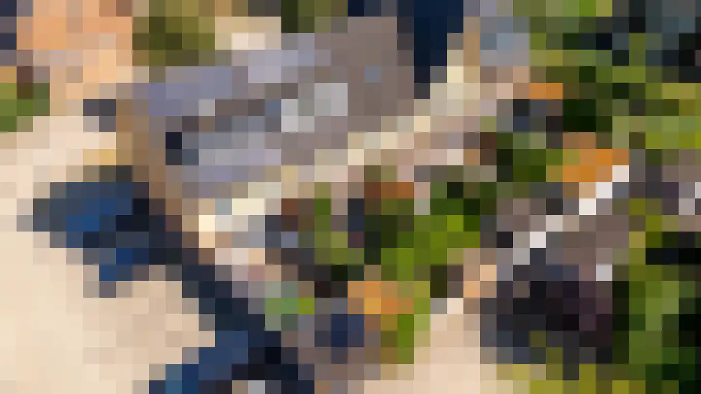 Viswater 15 Houten thumbnail 55