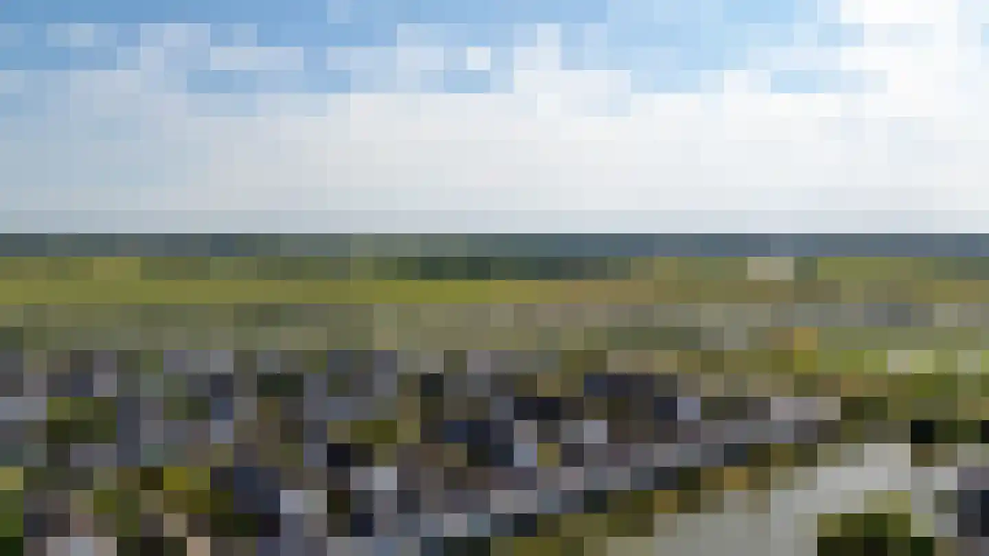 Viswater 15 Houten thumbnail 56