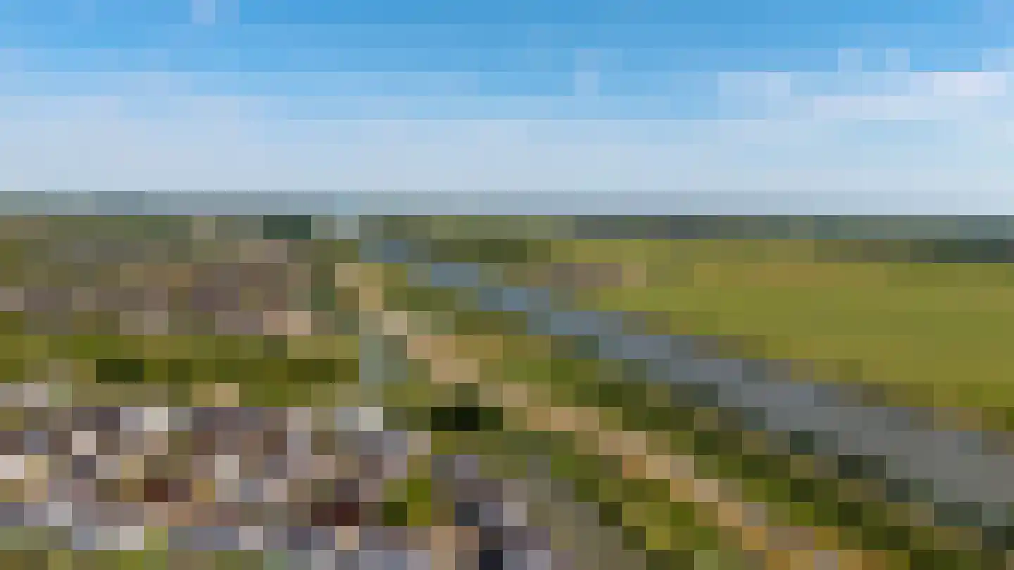 Viswater 15 Houten thumbnail 57