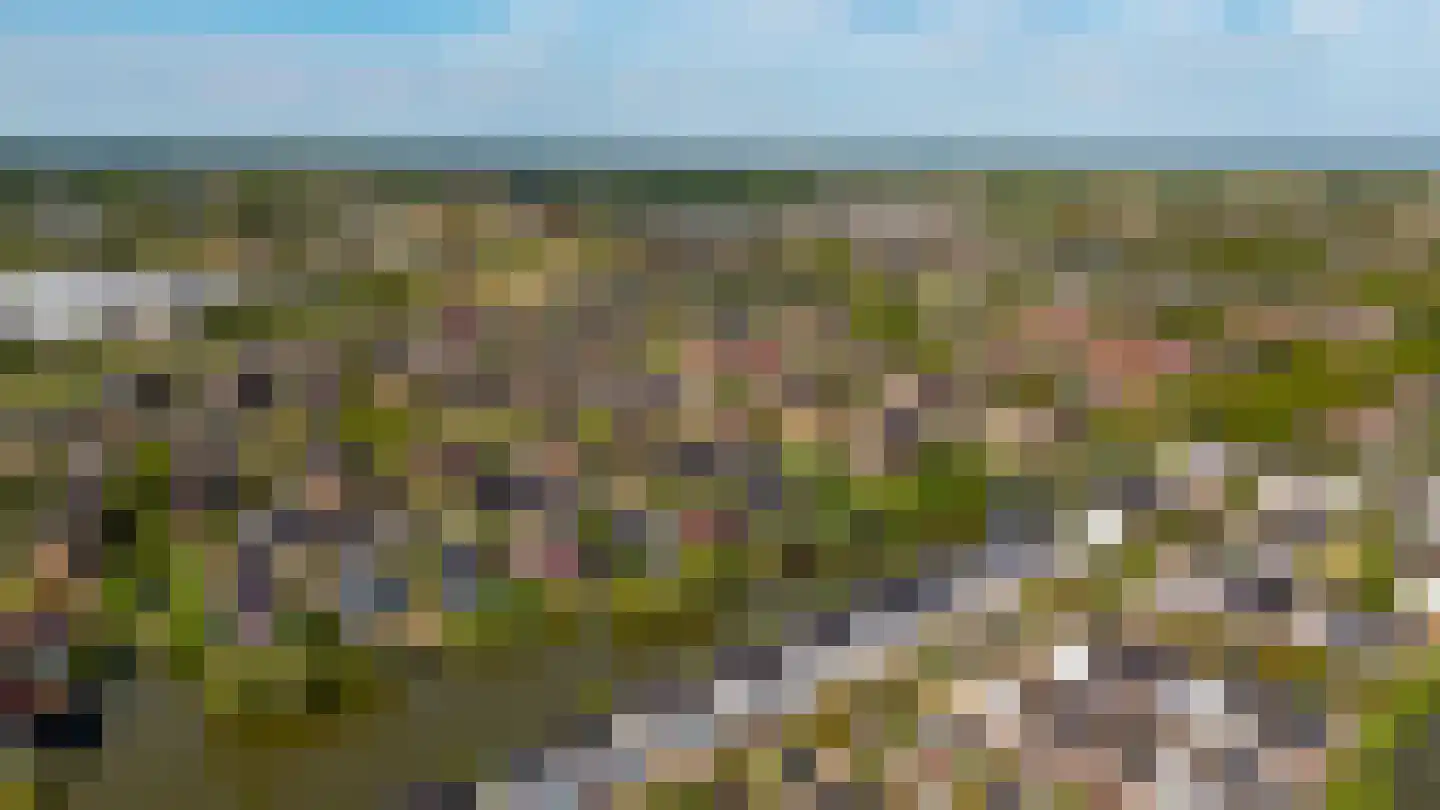 Viswater 15 Houten thumbnail 58