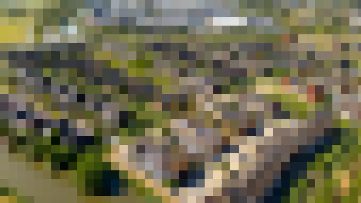 Viswater 15 Houten thumbnail 59