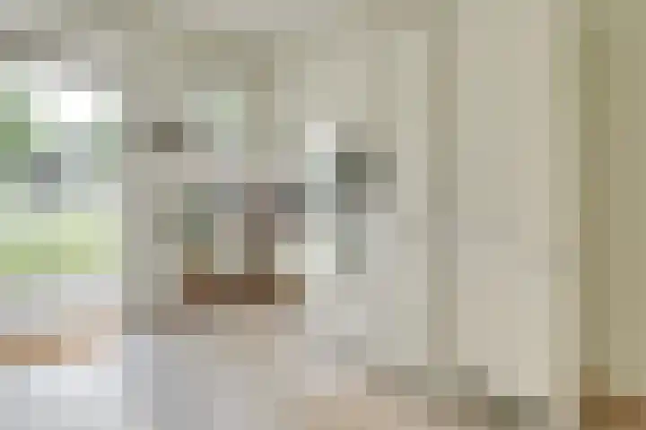 Viswater 17 Houten thumbnail 10