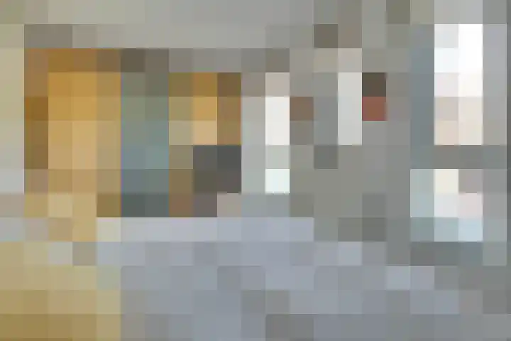 Viswater 17 Houten thumbnail 16
