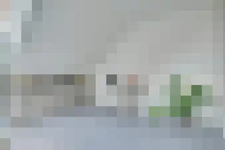 Viswater 17 Houten thumbnail 29