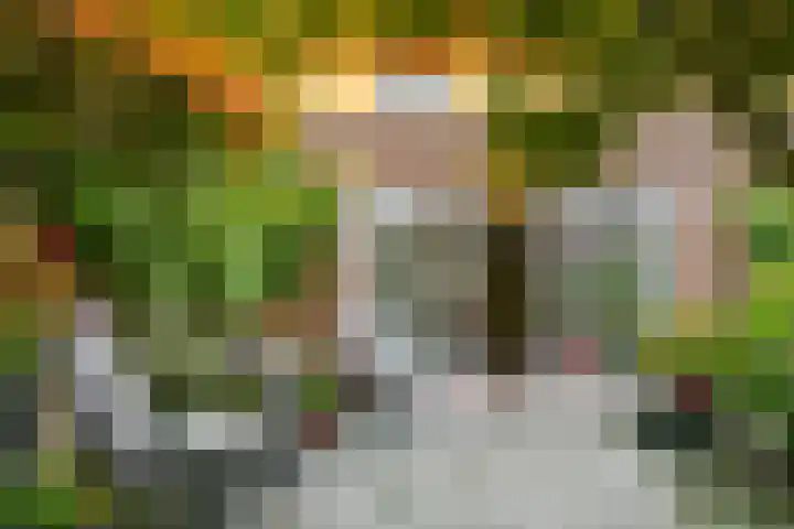 Viswater 17 Houten thumbnail 32