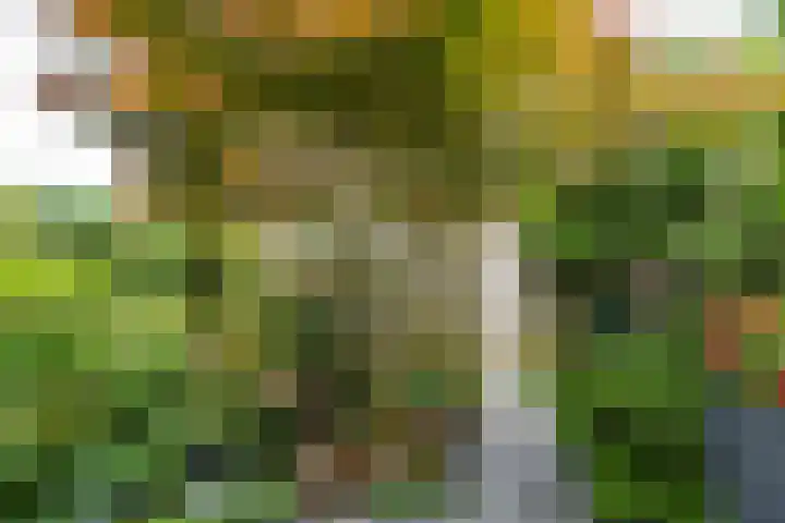 Viswater 17 Houten thumbnail 33