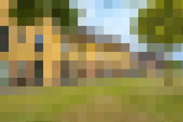 Viswater 17 Houten thumbnail 35