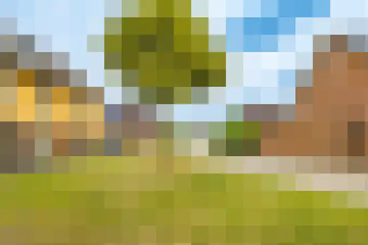 Viswater 17 Houten thumbnail 36