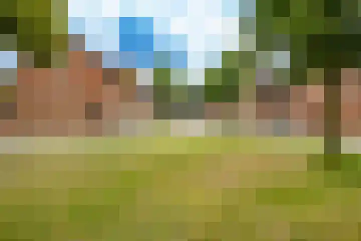 Viswater 17 Houten thumbnail 37