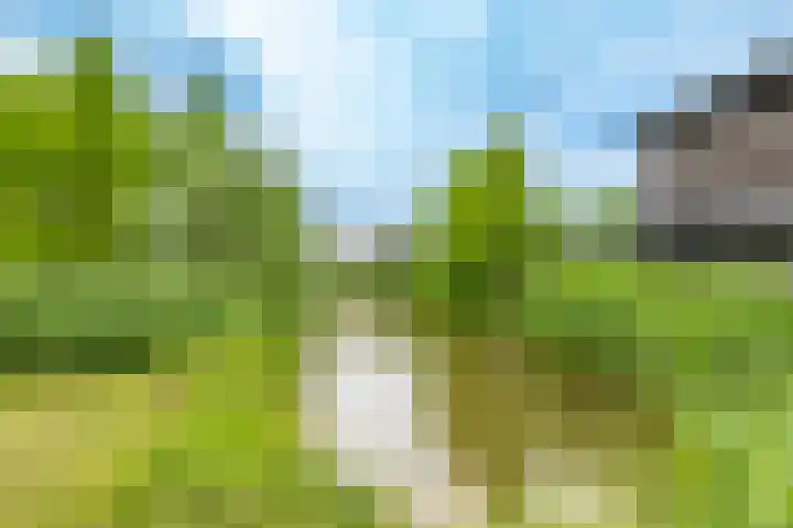 Viswater 17 Houten thumbnail 38